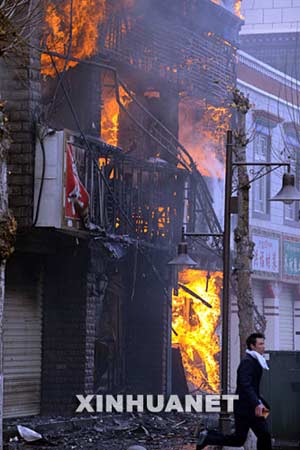西藏最新事件，雪域高原的溫馨日常觀察