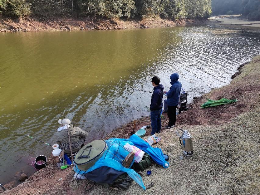 最新水庫(kù)釣魚(yú)視頻，探索釣魚(yú)樂(lè)趣與技巧全攻略