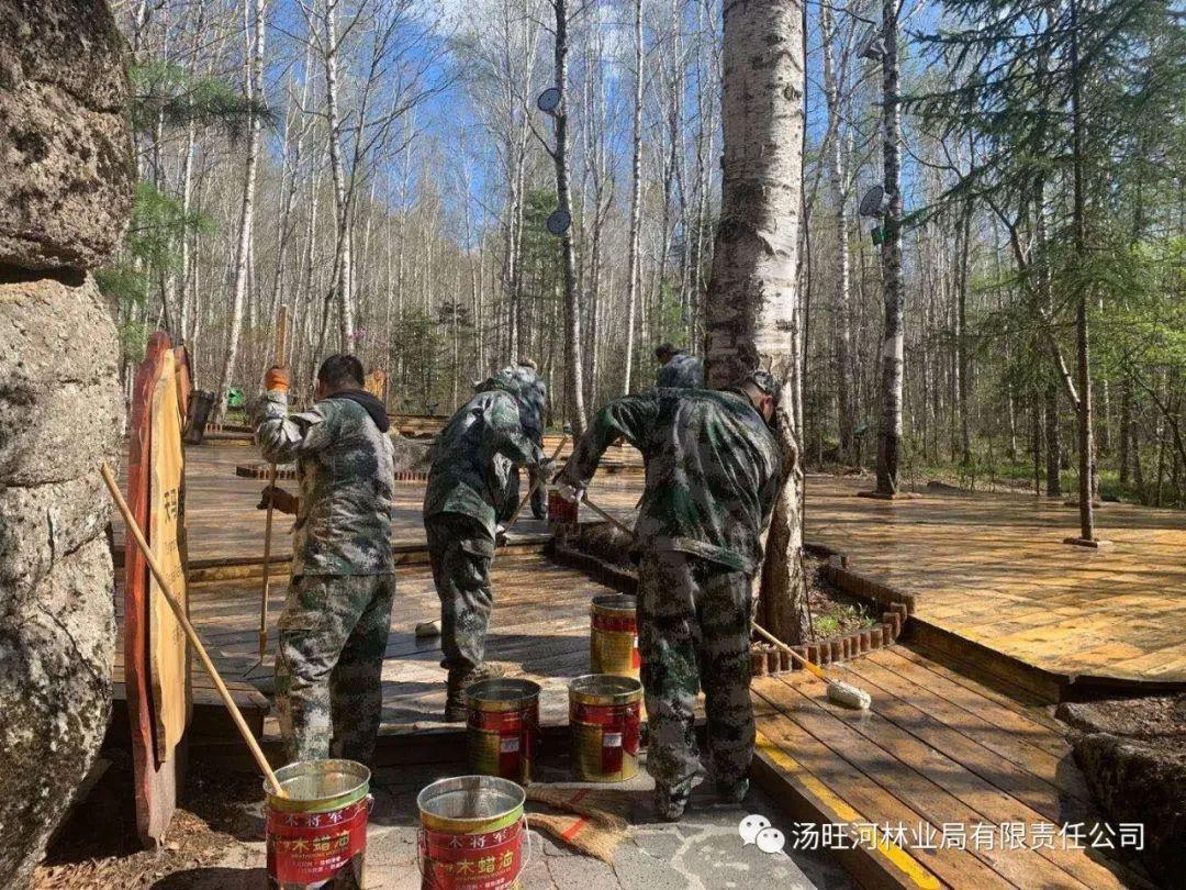 探尋神秘寶石世界的獨(dú)特魅力，最新奇石新聞報(bào)道