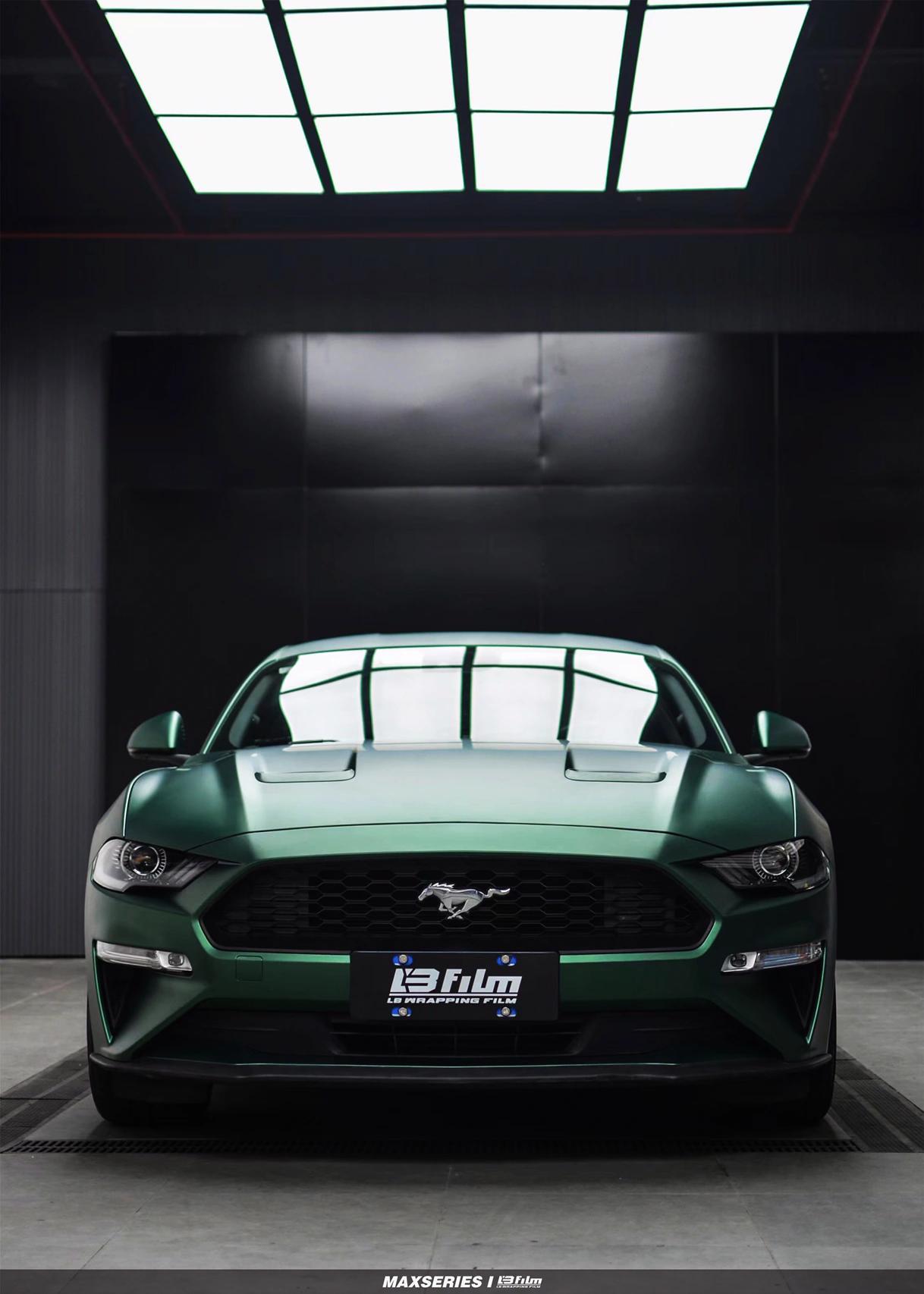 最新野馬汽車，技術(shù)革新與市場競爭的展現(xiàn)