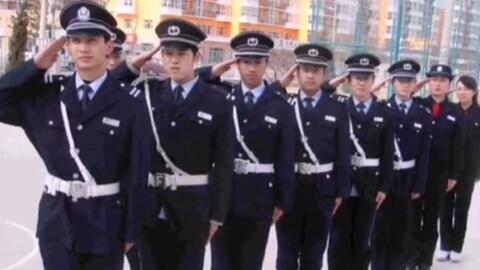 寧國最新保安招聘及其探討，行業(yè)現(xiàn)狀與發(fā)展趨勢分析