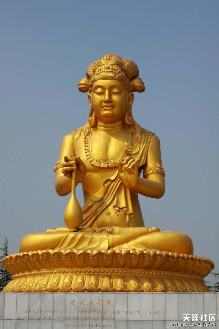 99434金光佛,綜合計(jì)劃評(píng)估_YRH10.174別致版