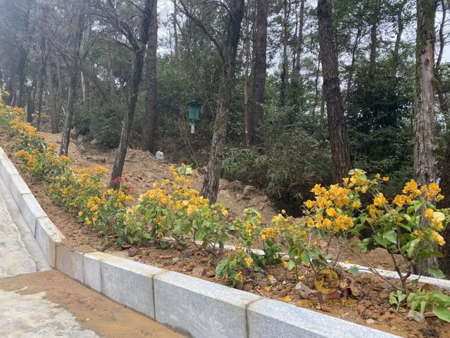 桂平手工，傳統(tǒng)與創(chuàng)新的完美交融