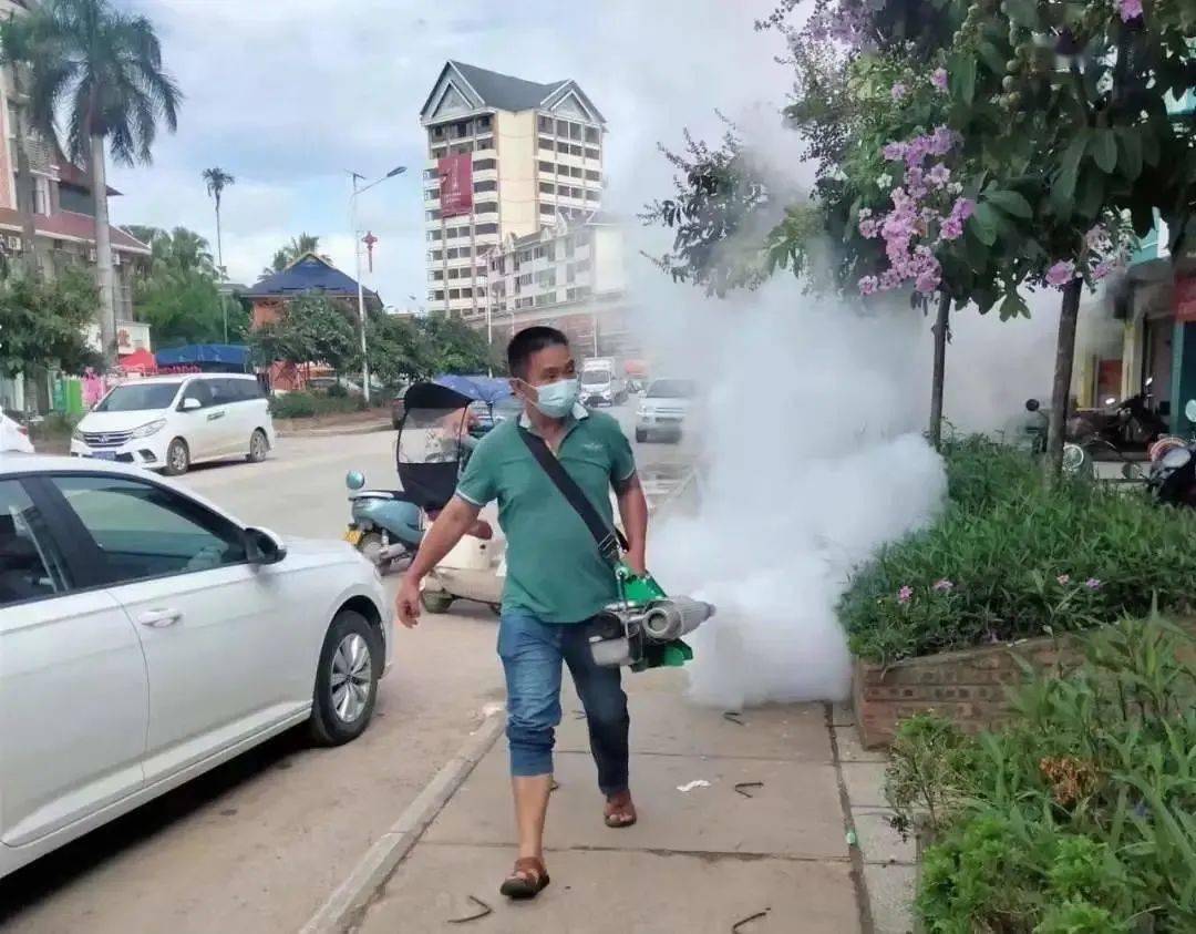 景洪登革熱最新疫情動態(tài)，挑戰(zhàn)與自信之光的博弈