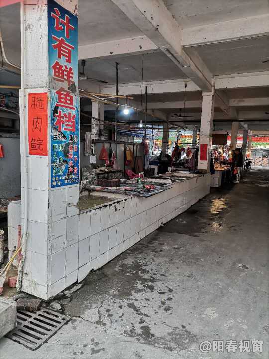 最新魚檔轉(zhuǎn)讓，把握商機，輕松開啟水產(chǎn)養(yǎng)殖事業(yè)之路