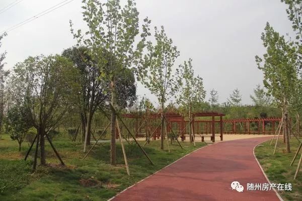 隨州桃園公園最新動態(tài)揭秘，驚喜連連，不容錯過！