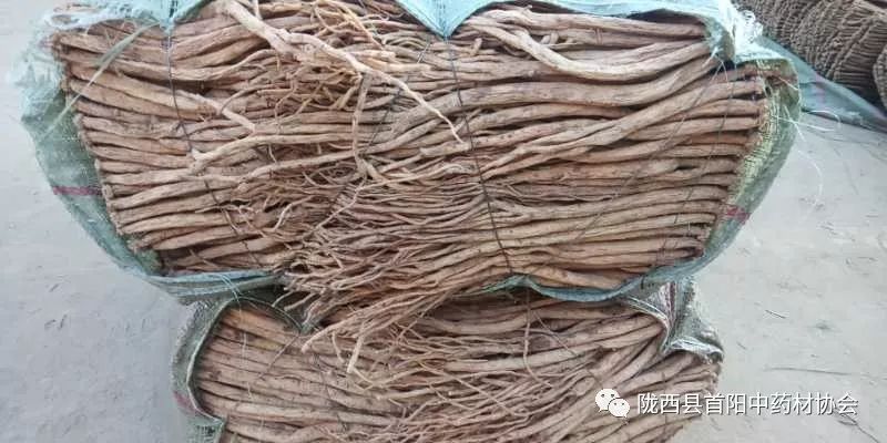 渭源黨參干貨最新價(jià)格及獲取指南，了解黨參干貨價(jià)格走勢(shì)與行情分析