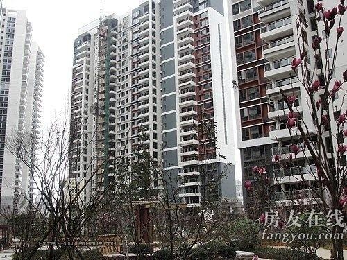 綠地長島公寓最新價格揭秘，小巷深處的隱藏寶藏