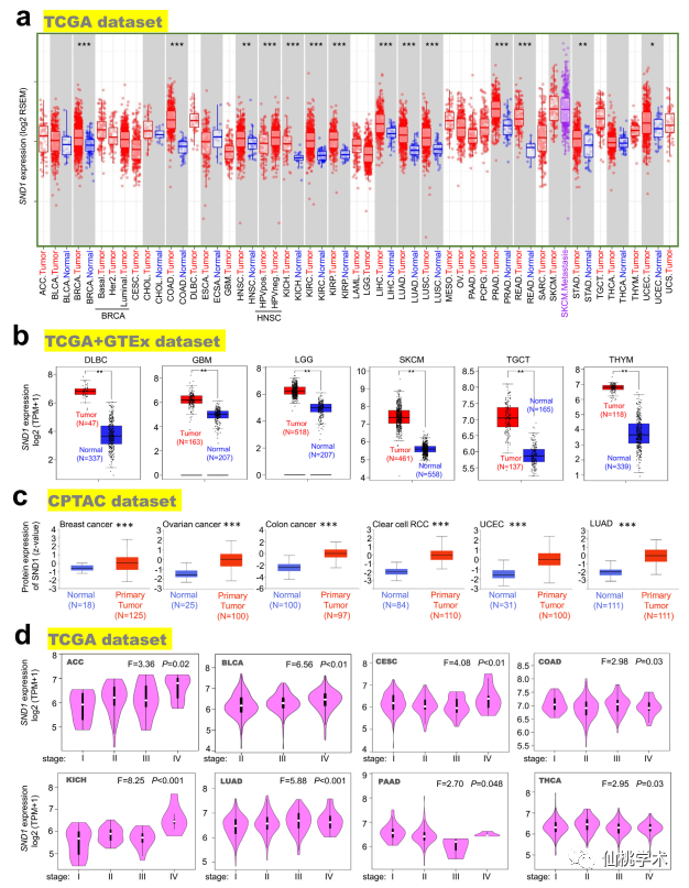 7884444最快開獎(jiǎng)網(wǎng),深究數(shù)據(jù)應(yīng)用策略_YHG85.375L版