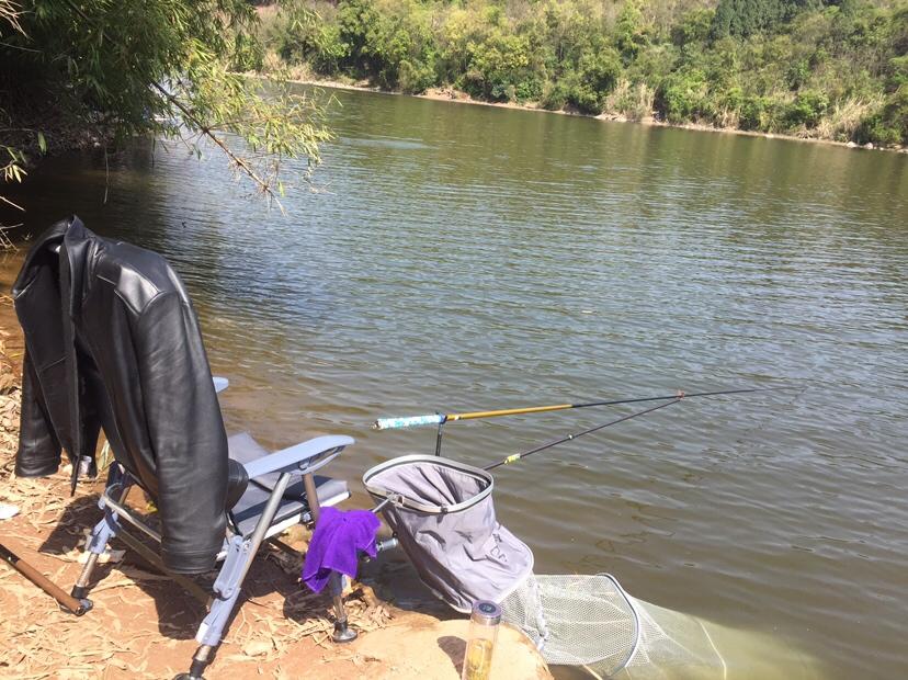 山門寺水庫釣魚最新指南，垂釣攻略與技巧分享