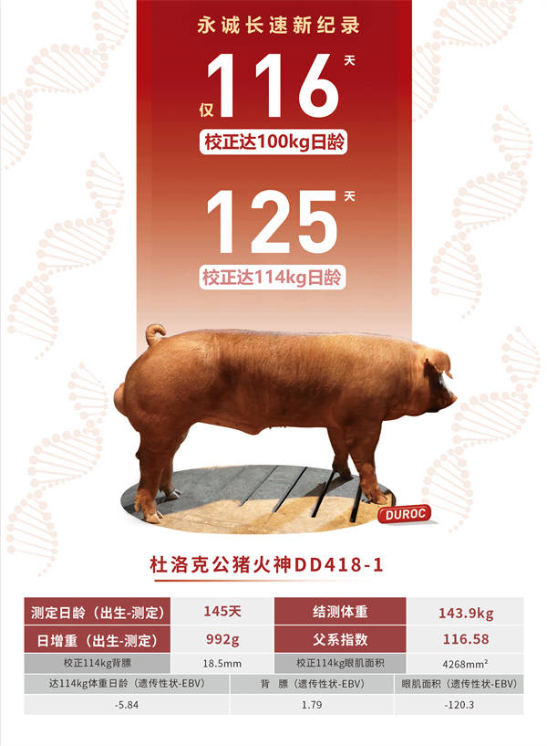 香港二四六最快開(kāi)獎(jiǎng),專(zhuān)業(yè)解讀操行解決_HMG83.231光輝版