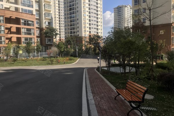 建禮家園最新動(dòng)態(tài)，小巷中的隱藏瑰寶揭秘