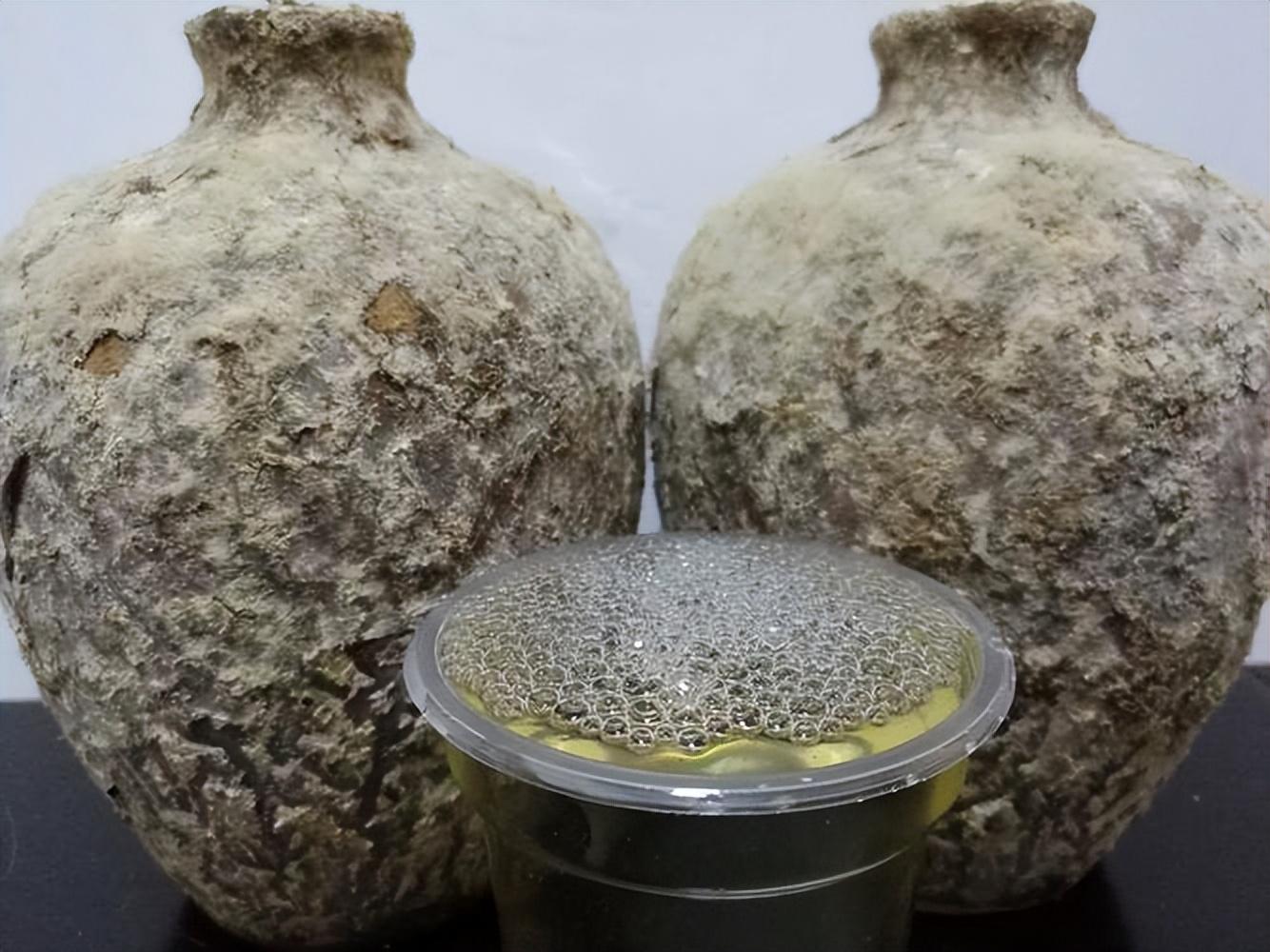 仁懷房屋出售最新信息，科技與家居融合，未來家居新體驗(yàn)重磅推出