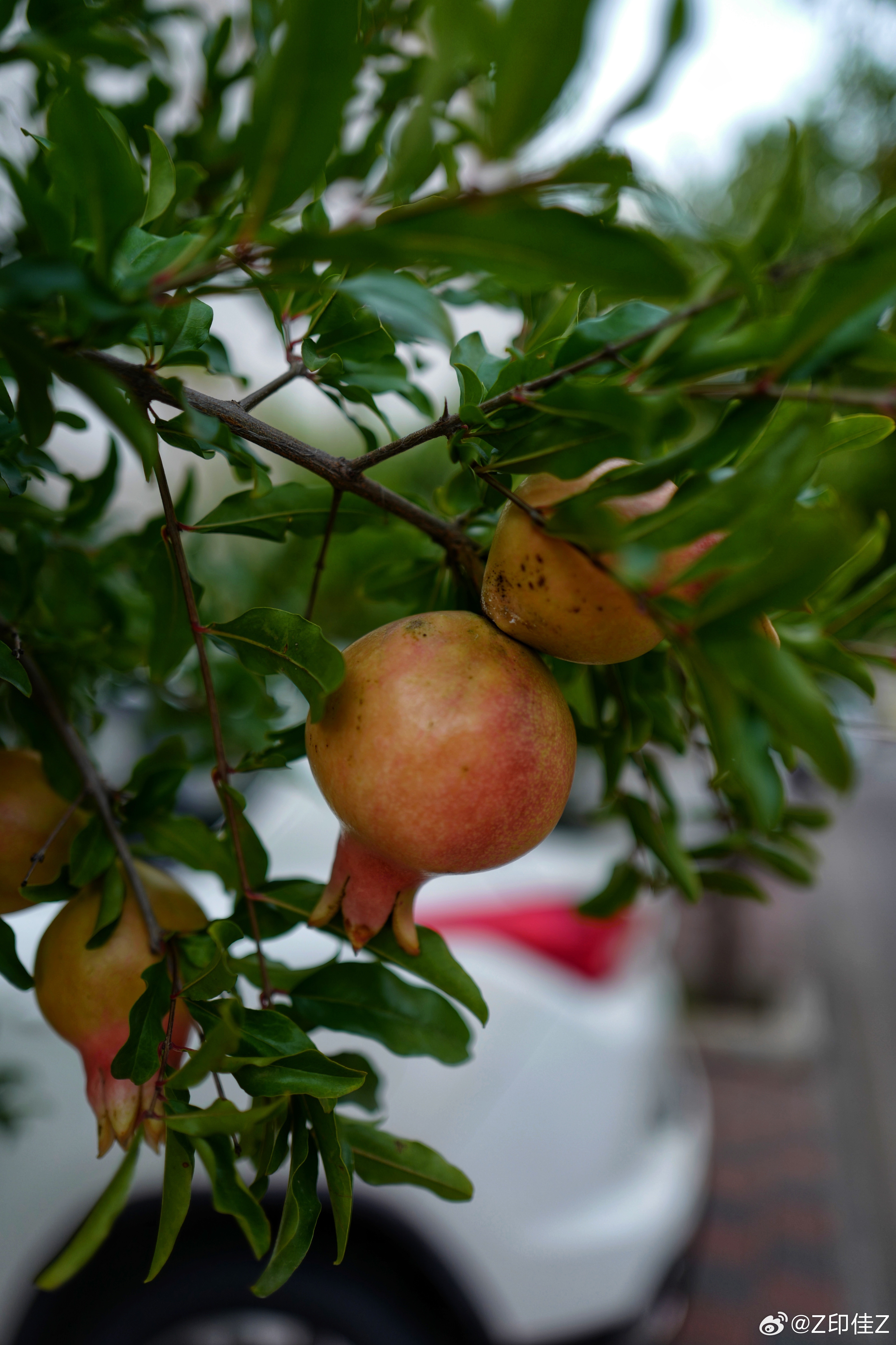遠離非法色情內(nèi)容，倡導健康生活與積極旅游體驗
