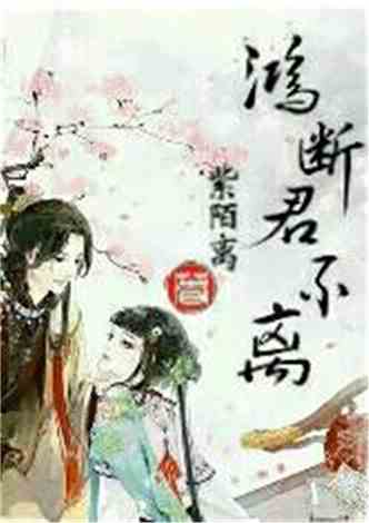 沈南汐最新小說(shuō)，知識(shí)的力量，成就夢(mèng)想的翅膀之路