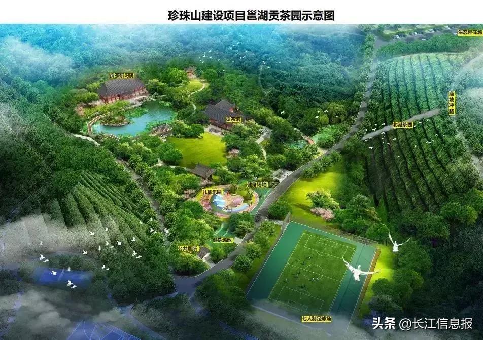 岳陽北港小學(xué)最新動態(tài)揭秘，校園新聞與活動更新