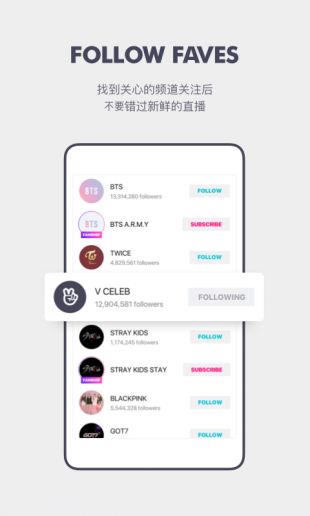 VAPP最新版下載，觀點(diǎn)論述與獲取渠道