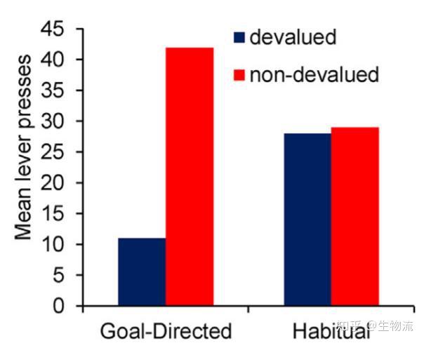精準一碼免費公開澳門,數(shù)據(jù)導向計劃_EPE83.694習慣版
