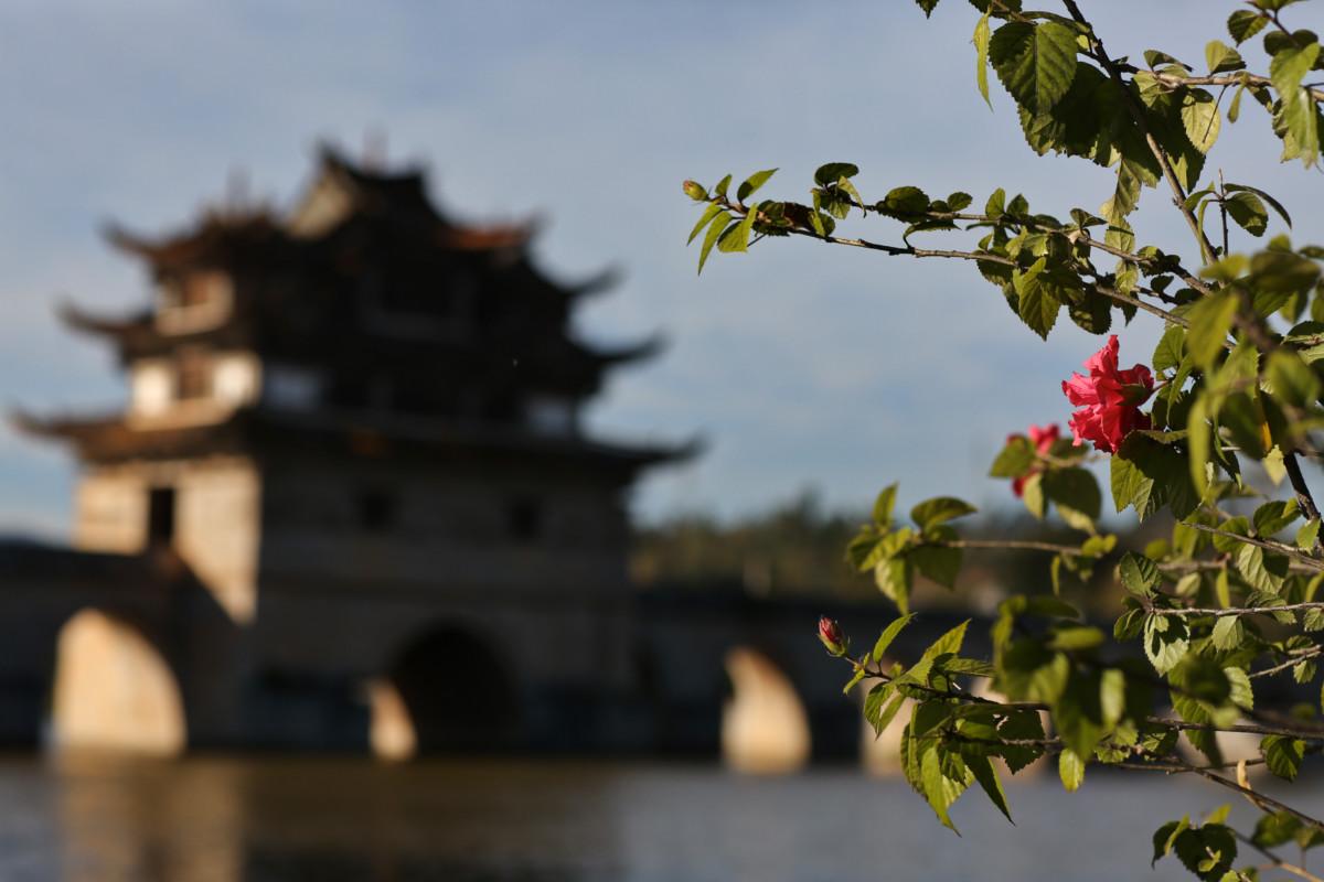 大冰最新力作，智能生活新紀元——科技與生活的完美融合