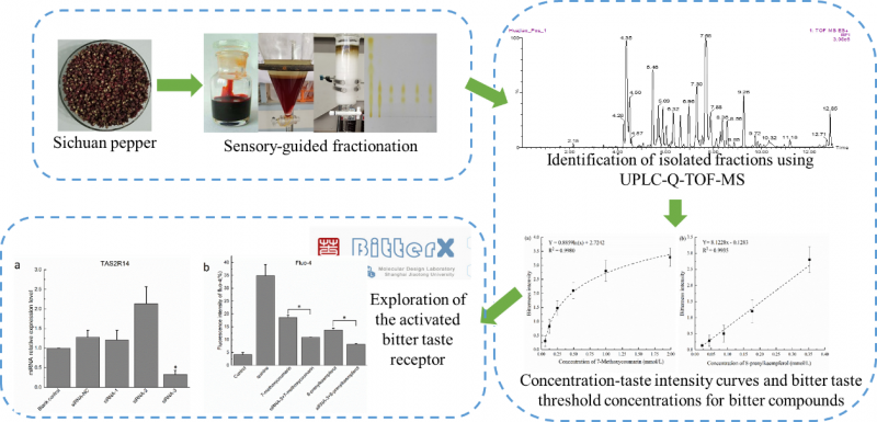 494949開獎(jiǎng)最快結(jié)果,科技成果解析_GZY9.585輕量版
