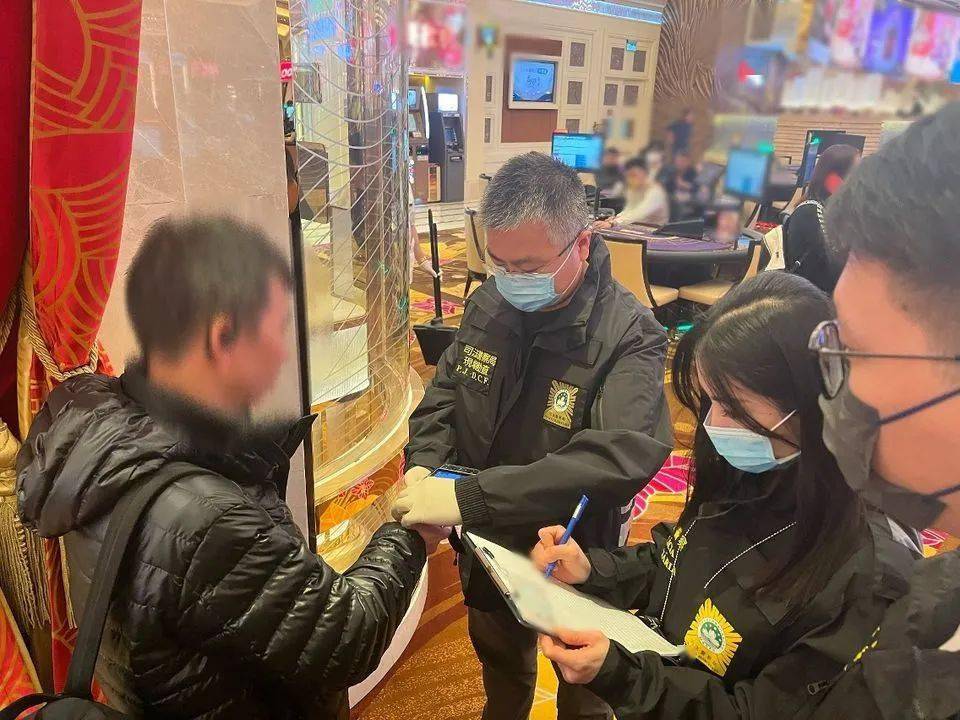 新澳門一肖一碼精準(zhǔn)資料公開(kāi),社會(huì)承擔(dān)實(shí)踐戰(zhàn)略_XRF83.344旅行助手版