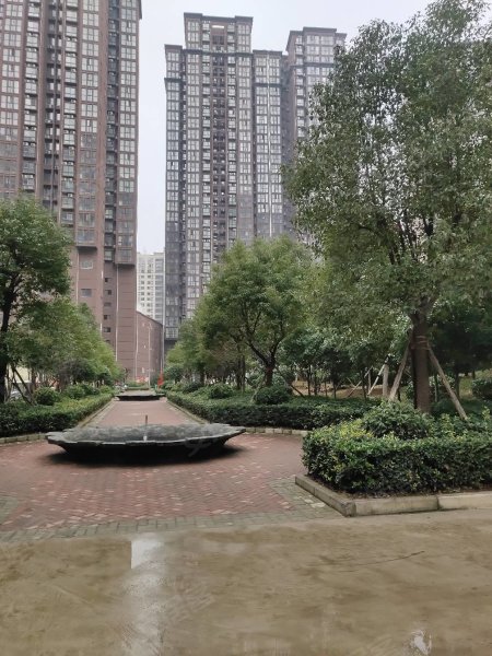 南陽盛世御苑最新動態(tài)揭秘，全面指南與步驟詳解