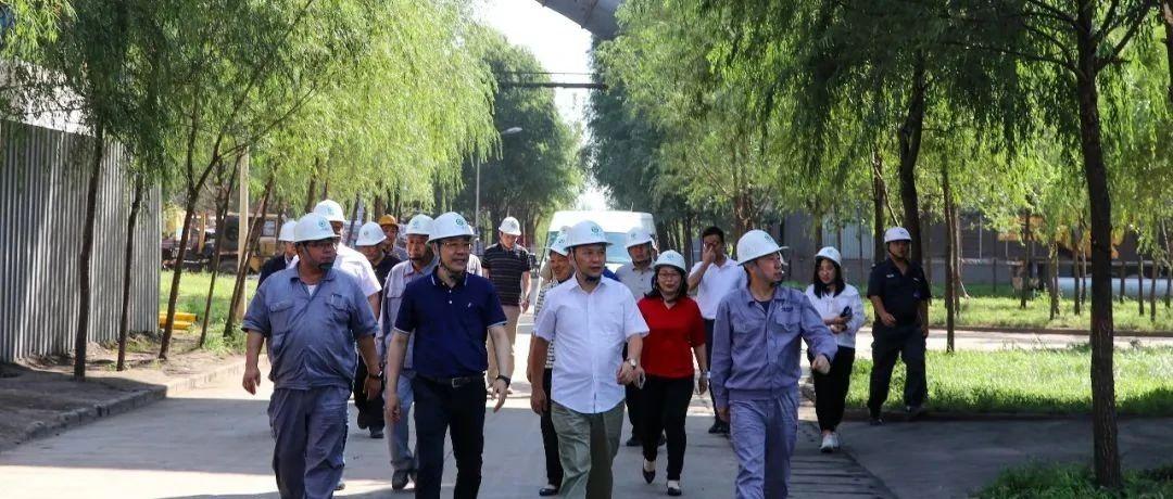 最新鍋爐工招聘信息揭秘，鍋爐工的溫馨日常故事探索