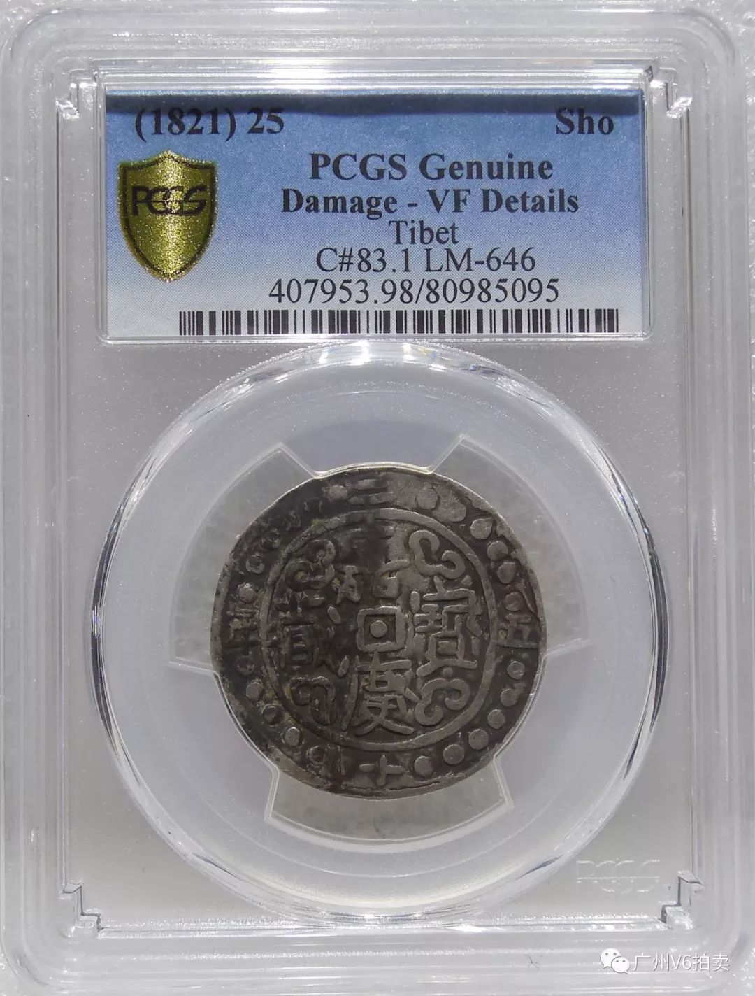 澳門精準(zhǔn)12碼中特,最新研究解讀_遠光版13.570