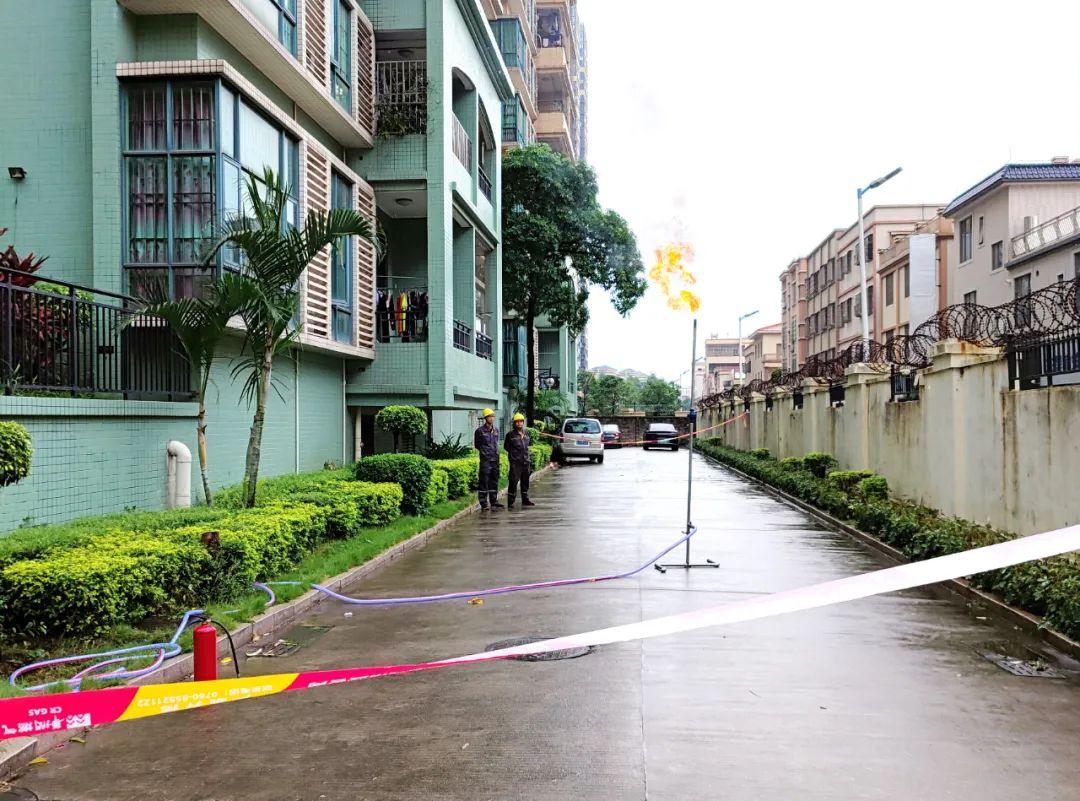 中山東鳳佛奧最新動態(tài)，自然美景的探索之旅，尋找內(nèi)心平和與寧靜