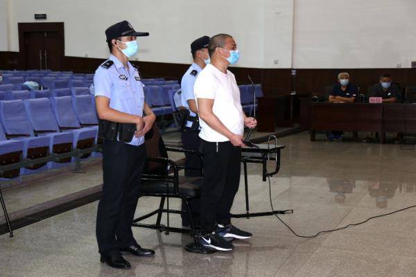 張顯富一審最新消息，自然之旅的呼喚，內(nèi)心平和之地的探尋