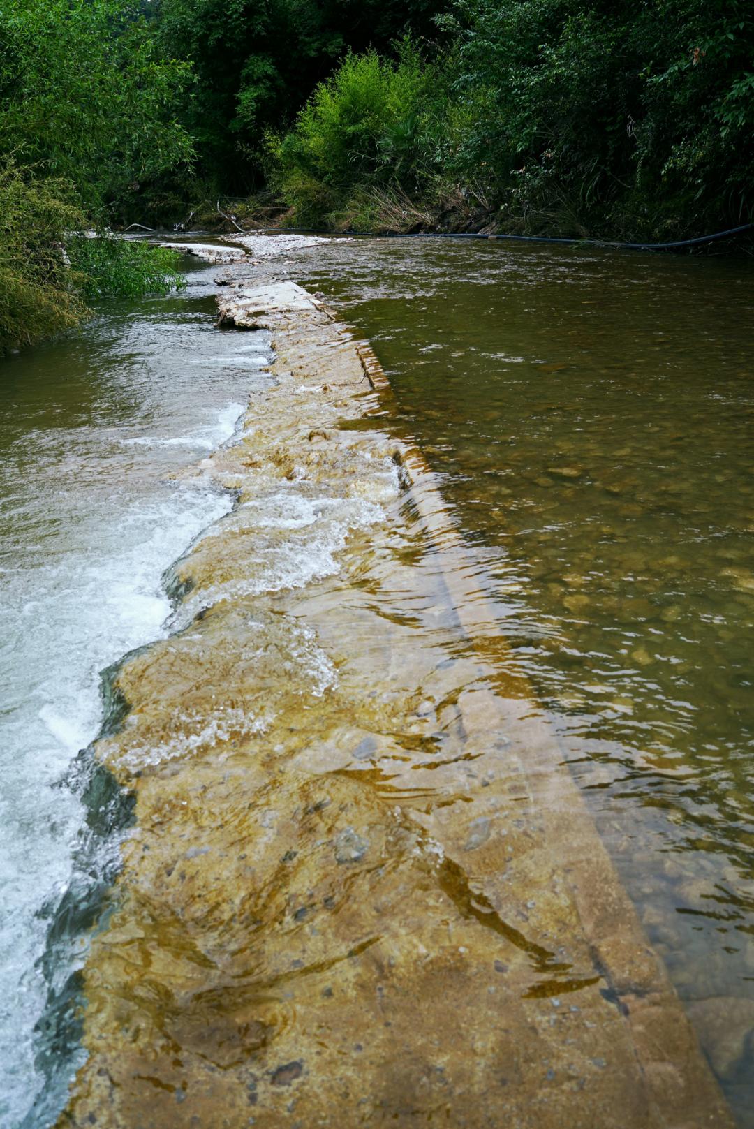新奧2024年免費(fèi)資料大全,專業(yè)解讀方案實施_旅行者特別版35.641