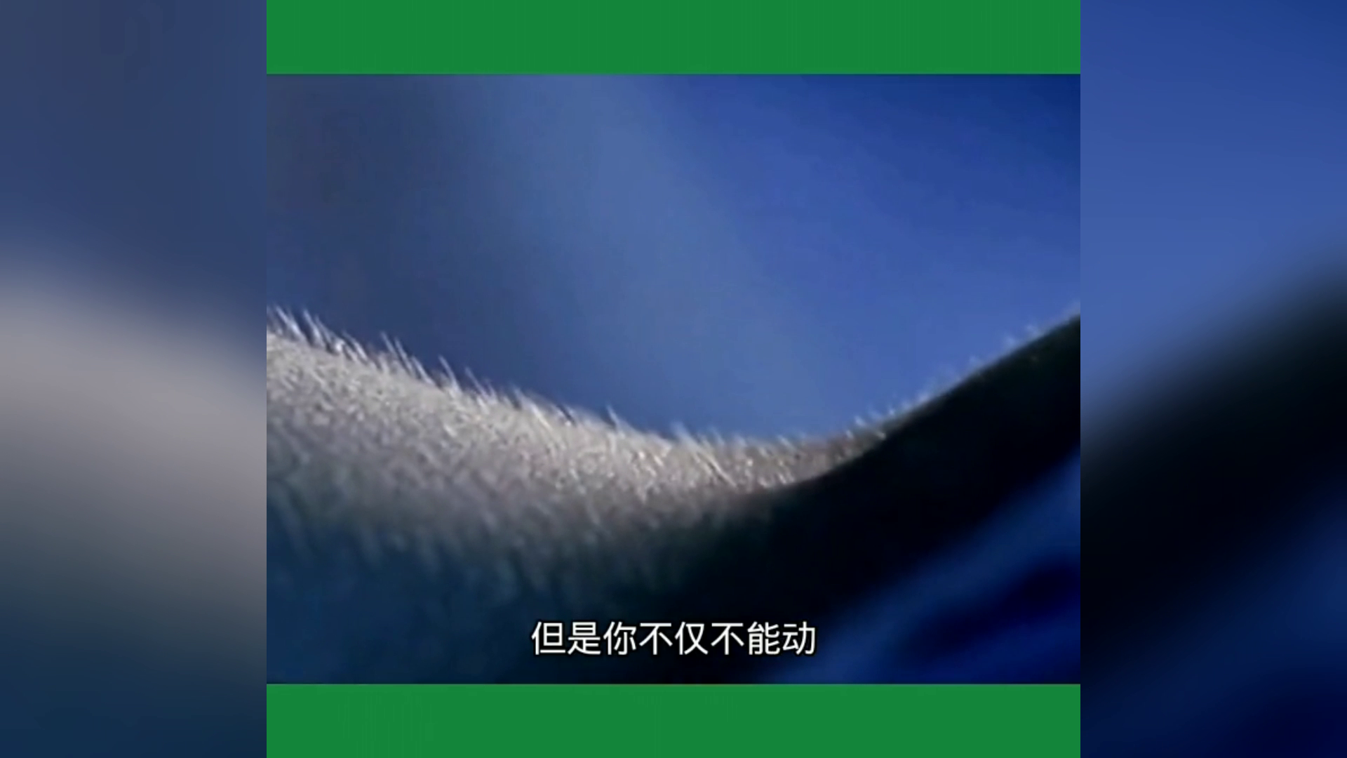 新澳門最精準正最精準,科學(xué)分析解釋說明_桌面款98.781