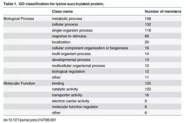 奧門(mén)開(kāi)獎(jiǎng)結(jié)果+開(kāi)獎(jiǎng)記錄2024年資料網(wǎng)站,精細(xì)化方案決策_(dá)云技術(shù)版74.496