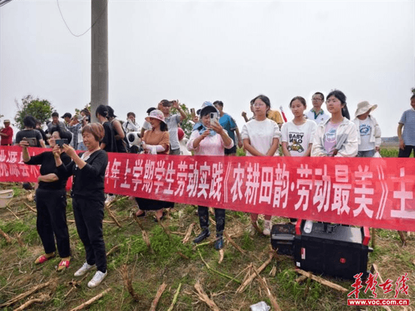 桃源木塘垸鄉(xiāng)新動態(tài)，趣事連連，真摯友情綻放鄉(xiāng)間