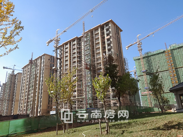 眾和康園二期最新動(dòng)態(tài)揭秘，未來生活新篇章開啟