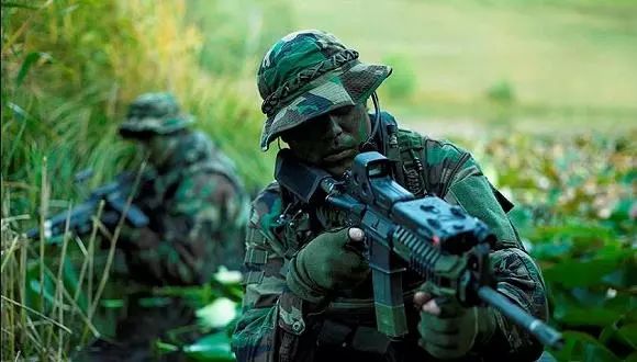 特種部隊(duì)小組最新版本，時(shí)代背景下的英勇先鋒