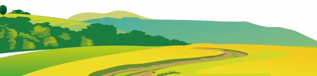 藍(lán)田縣未來藍(lán)圖，最新發(fā)展規(guī)劃揭秘