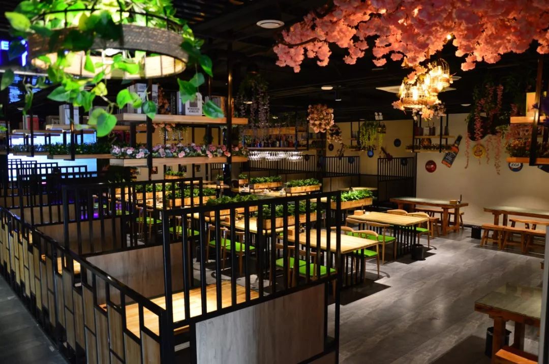 中餐廳最新一期音樂(lè)，熱門(mén)旋律與節(jié)目魅力的完美交融