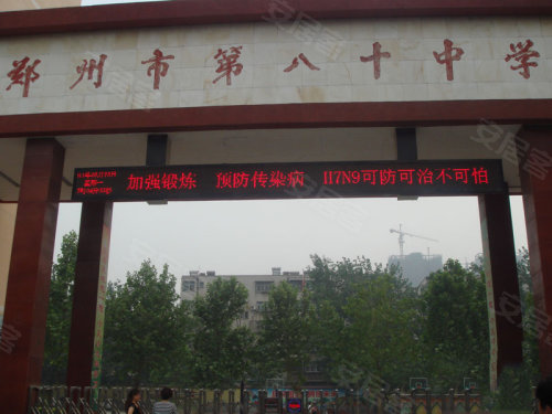 中原區(qū)九龍城最新動(dòng)態(tài)深度解析，最新進(jìn)展與觀點(diǎn)闡述