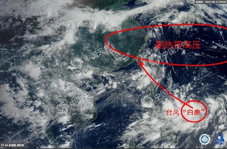 最新臺風(fēng)路線動畫，風(fēng)云變幻，你我同行成長之路