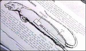 美國(guó)填尸最新進(jìn)展，高科技重塑生活，未來科技魅力體驗(yàn)