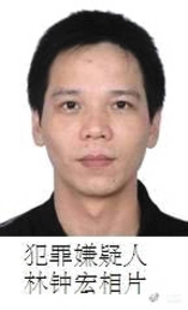 張宸案最新進展，城市生活的溫馨日常關注