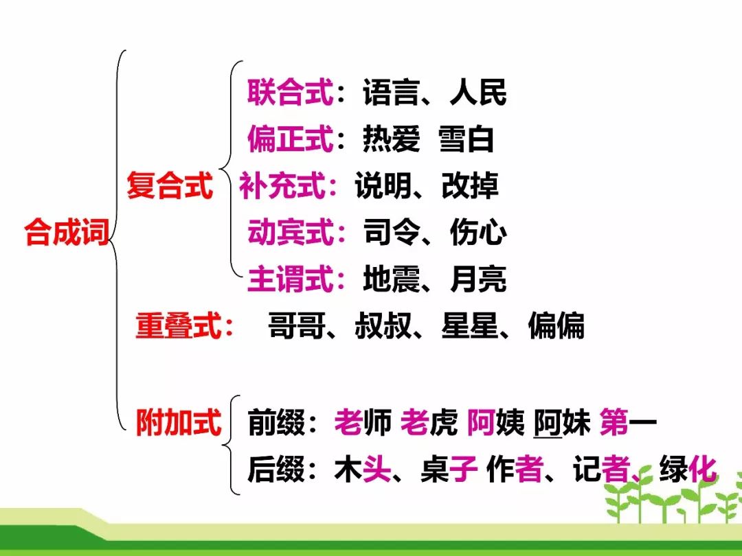 最新合成詞，語言發(fā)展的微觀視角探索