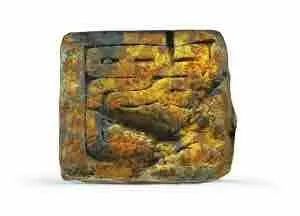 余厚蜀最新動態(tài)，科技前沿探索與行業(yè)創(chuàng)新引領(lǐng)