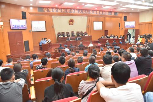 聶祖峰最新探索之旅，自然美景中的心靈尋覓與平和之境