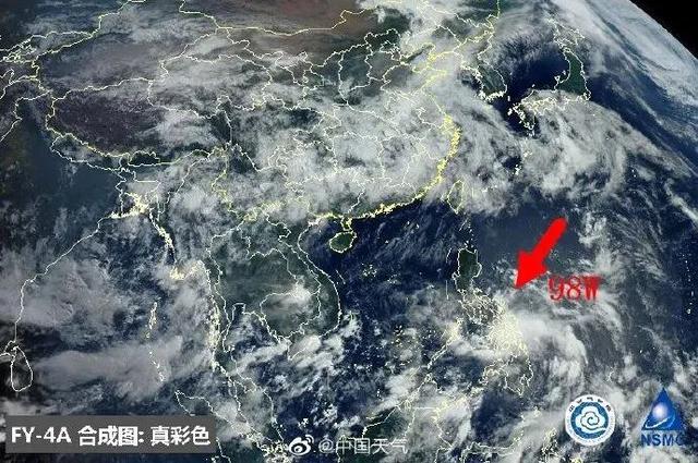 臺(tái)風(fēng)鸚鵡的最新動(dòng)態(tài)，逆風(fēng)翱翔的力量與學(xué)習(xí)魅力