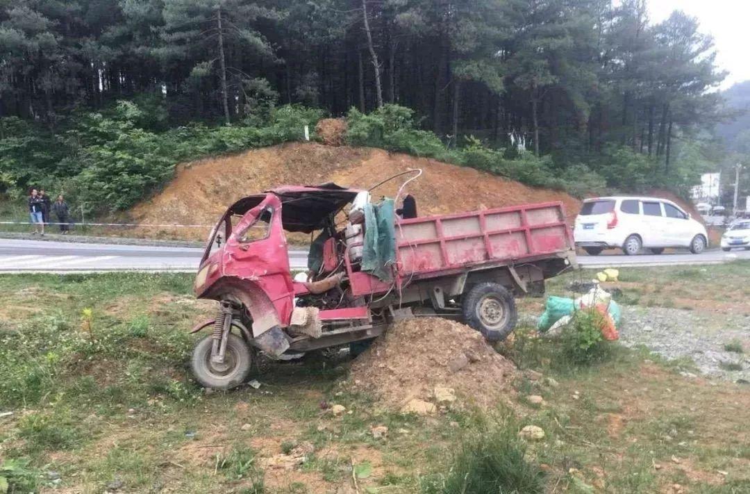 平山事故背后的溫馨故事，友情、愛與陪伴的奇遇