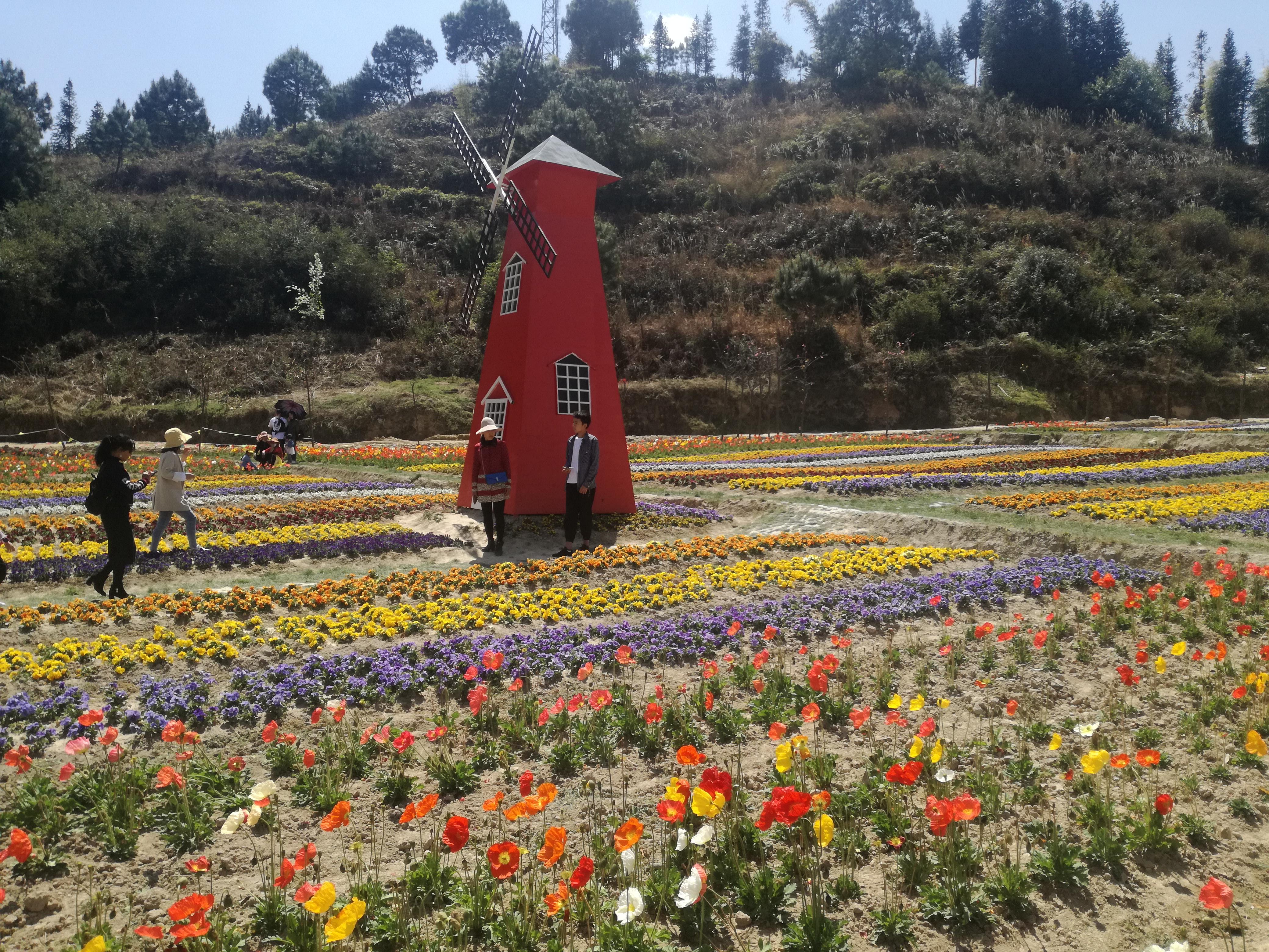 臨滄市最新探索，自然美景之旅，尋找內(nèi)心平和的旅程