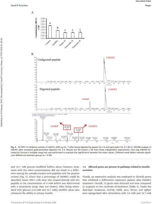 糖肽最新文獻(xiàn)，自然之旅的心靈探尋之旅，尋找內(nèi)心的寧?kù)o