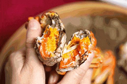 ??陽澄湖螃蟹上市季節(jié)情報，吃貨必知的秋季美味盛宴！??